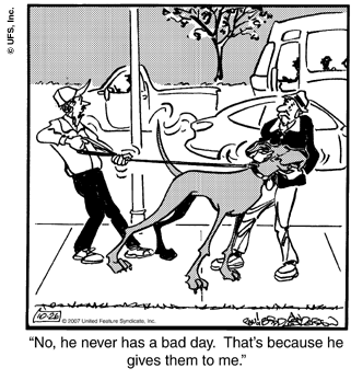 marmaduke